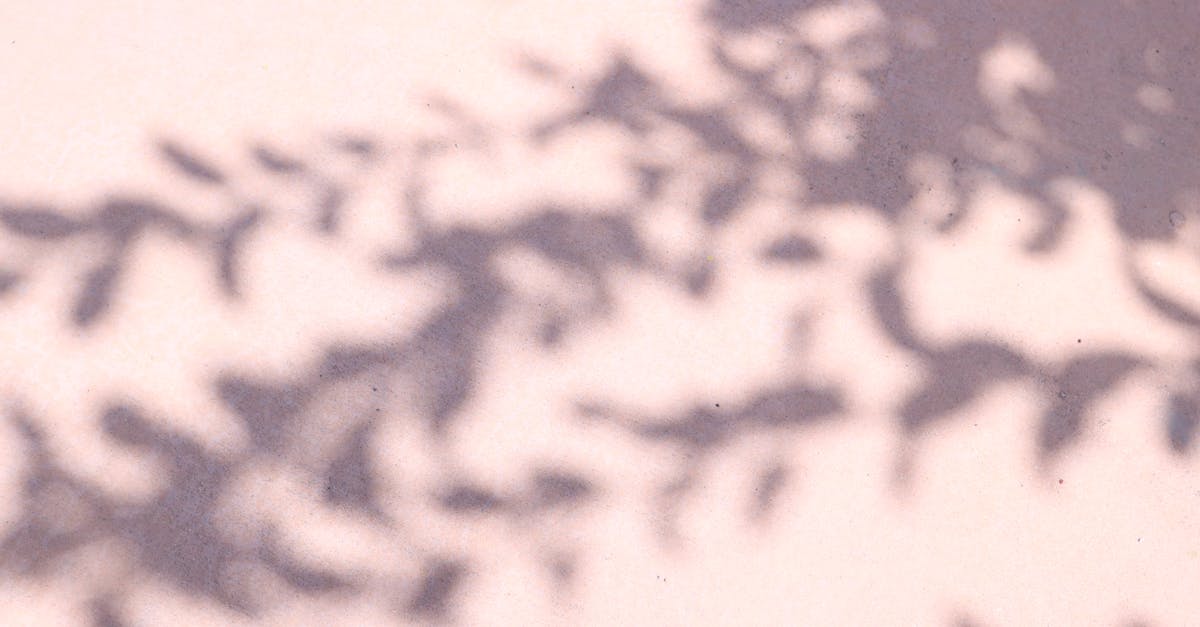 Lucidity Meditation — Choosing Clarity Without Fear