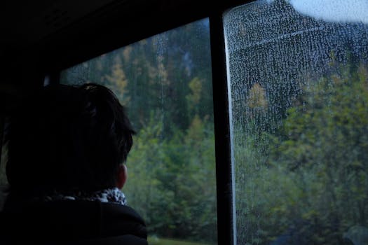 The Observer Within - AI Meditation thumbnail