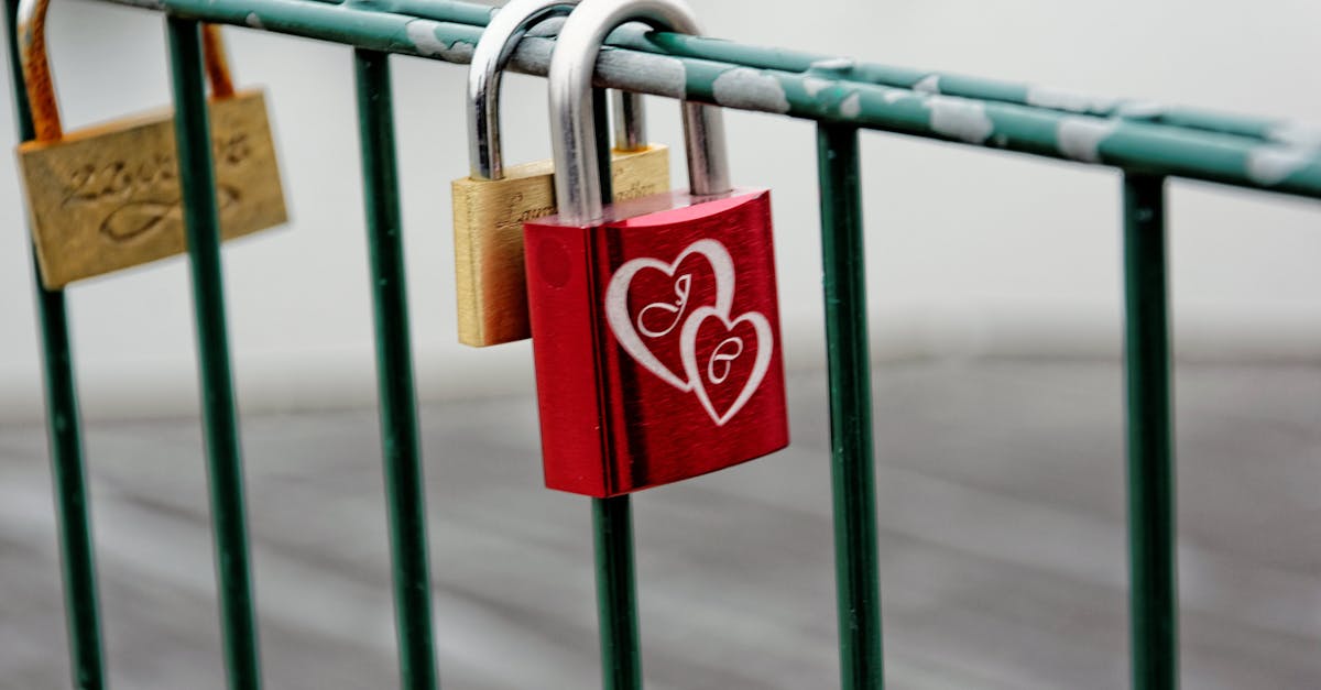 February 14 – Love & Connection Meditation